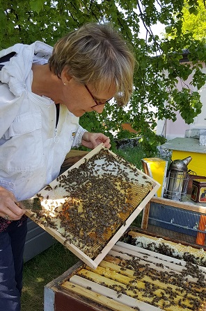 Apicultrice visite ruche miel suisse vaudois